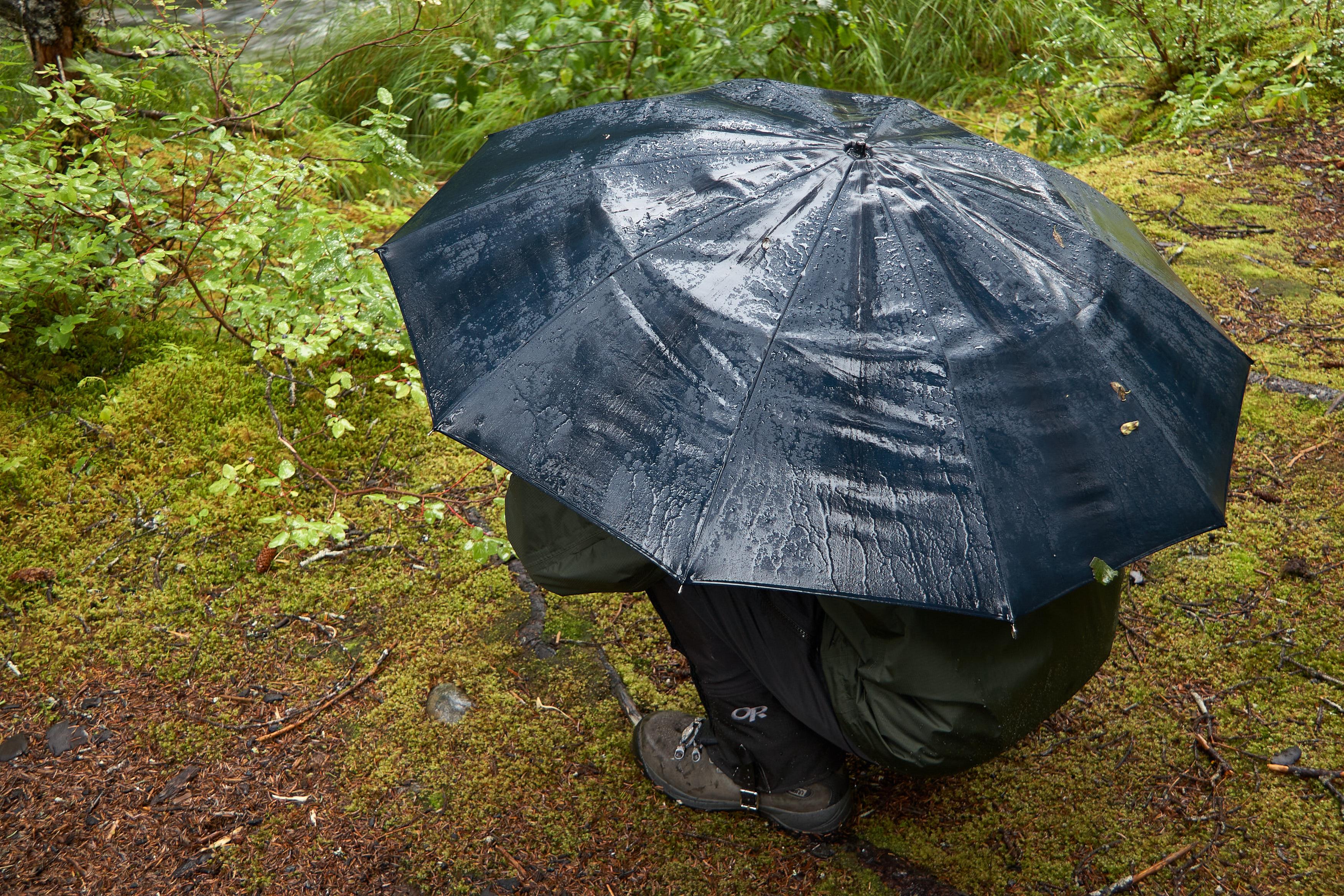 A hiker on a rainy day in Alaska, photographing moss or a mushroom while trying to stay slightly dry under an umbrella, looking like an oversized mushroom.